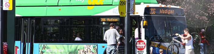 Route 206 header Picture of Bus