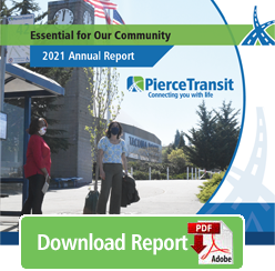 download 2021 annual report pdf